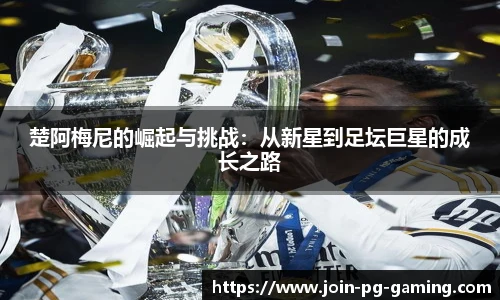 PG模拟器